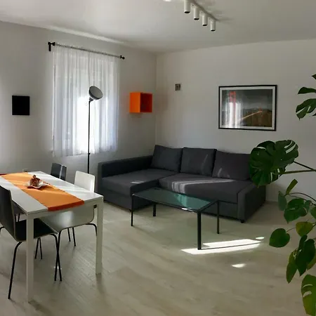 Fine & Shine Apartament